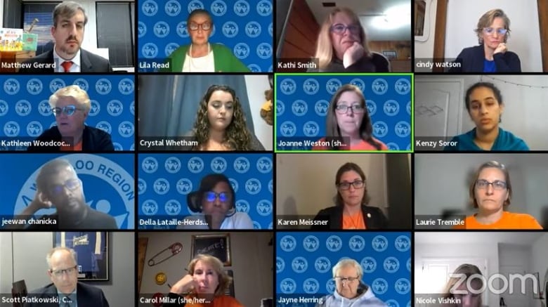 Online meeting with 16 people in screen boxes.